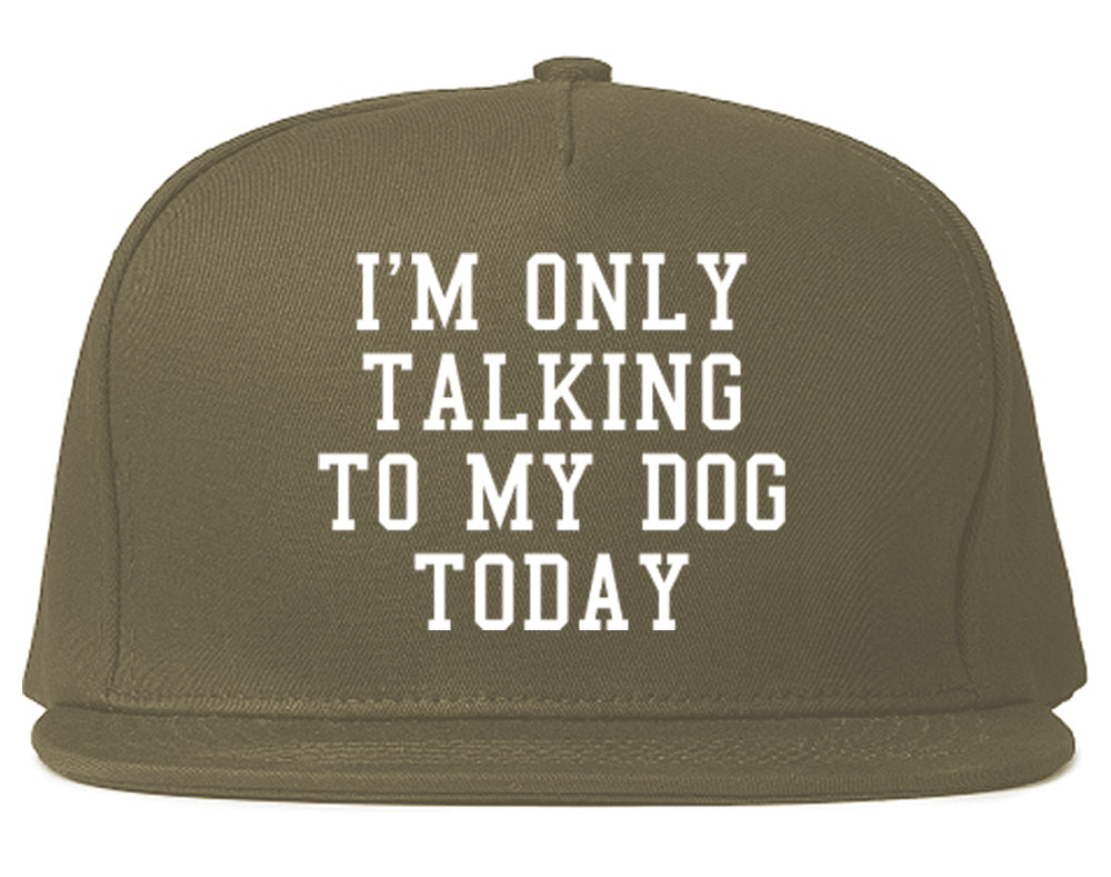 Im Only Talking To My Dog Today Mens Snapback Hat Grey