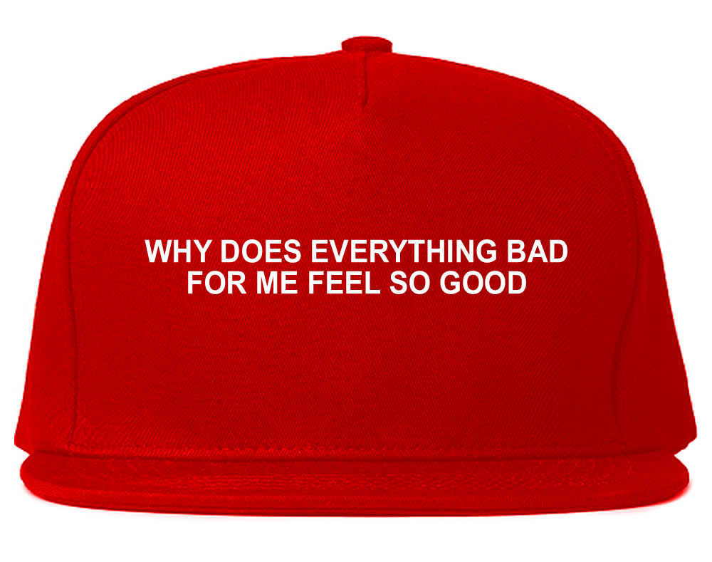 Why Does Everything Bad For Me Feel So Good Mens Snapback Hat Red