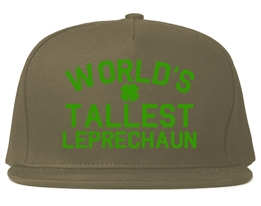Worlds Tallest Leprechaun Funny St Patricks Day Mens Snapback Hat Grey