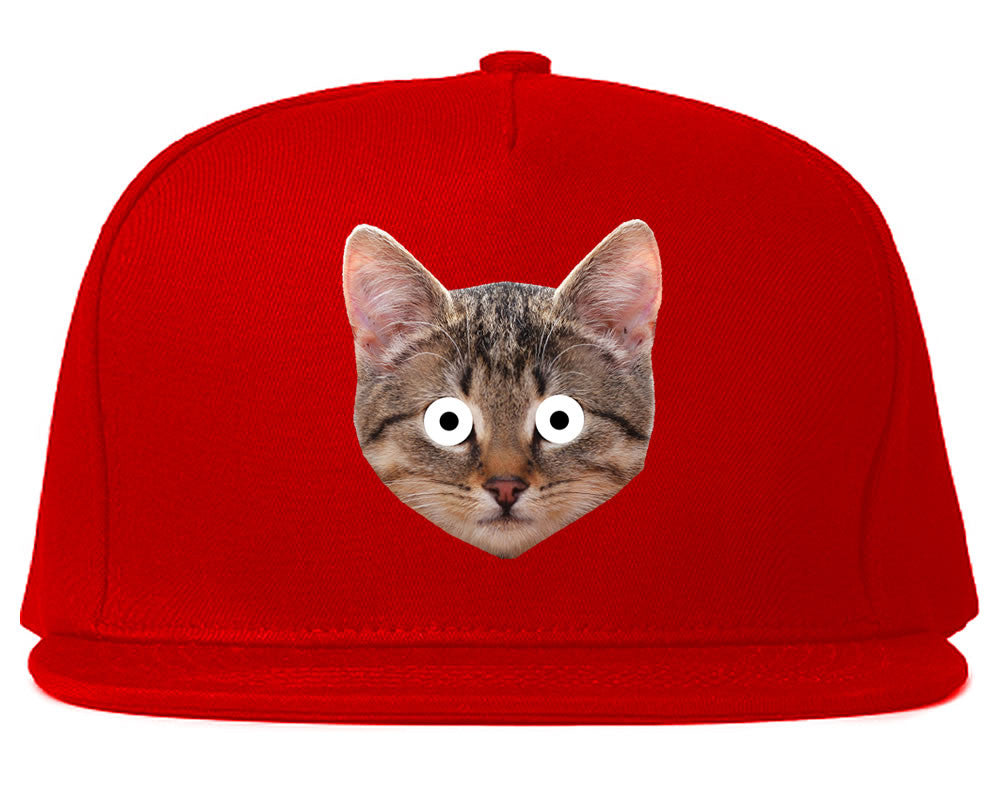 Cats Crazy Kittens Snapback Hat By Kings Of NY