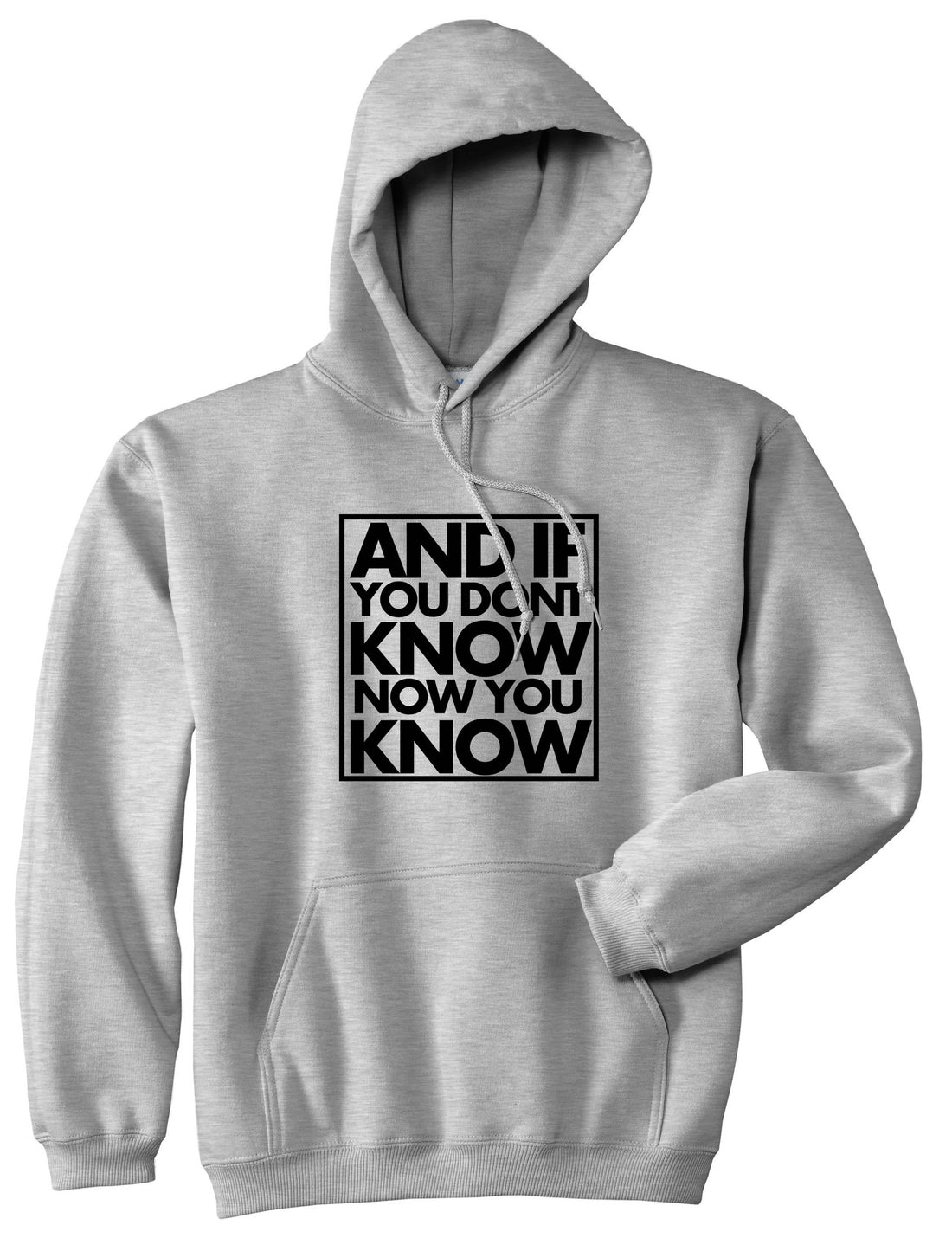And If You Don't Know Now You Know Pullover Hoodie in Grey By Kings Of NY
