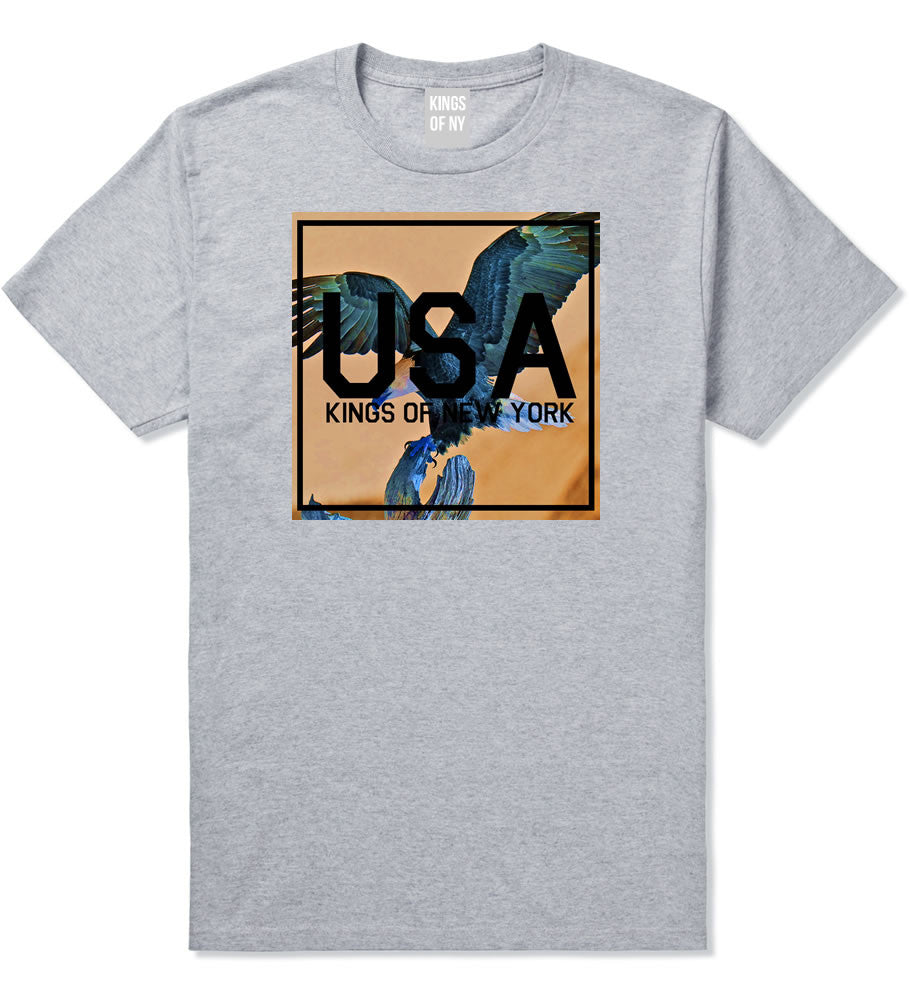 USA Bald Eagle America T-Shirt in Grey By Kings Of NY