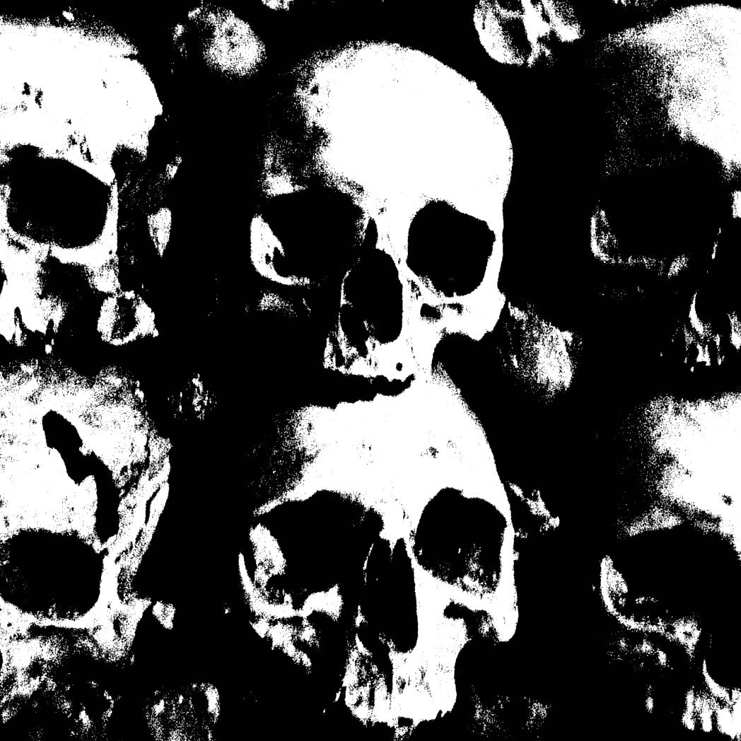 Skulls & Skeletons