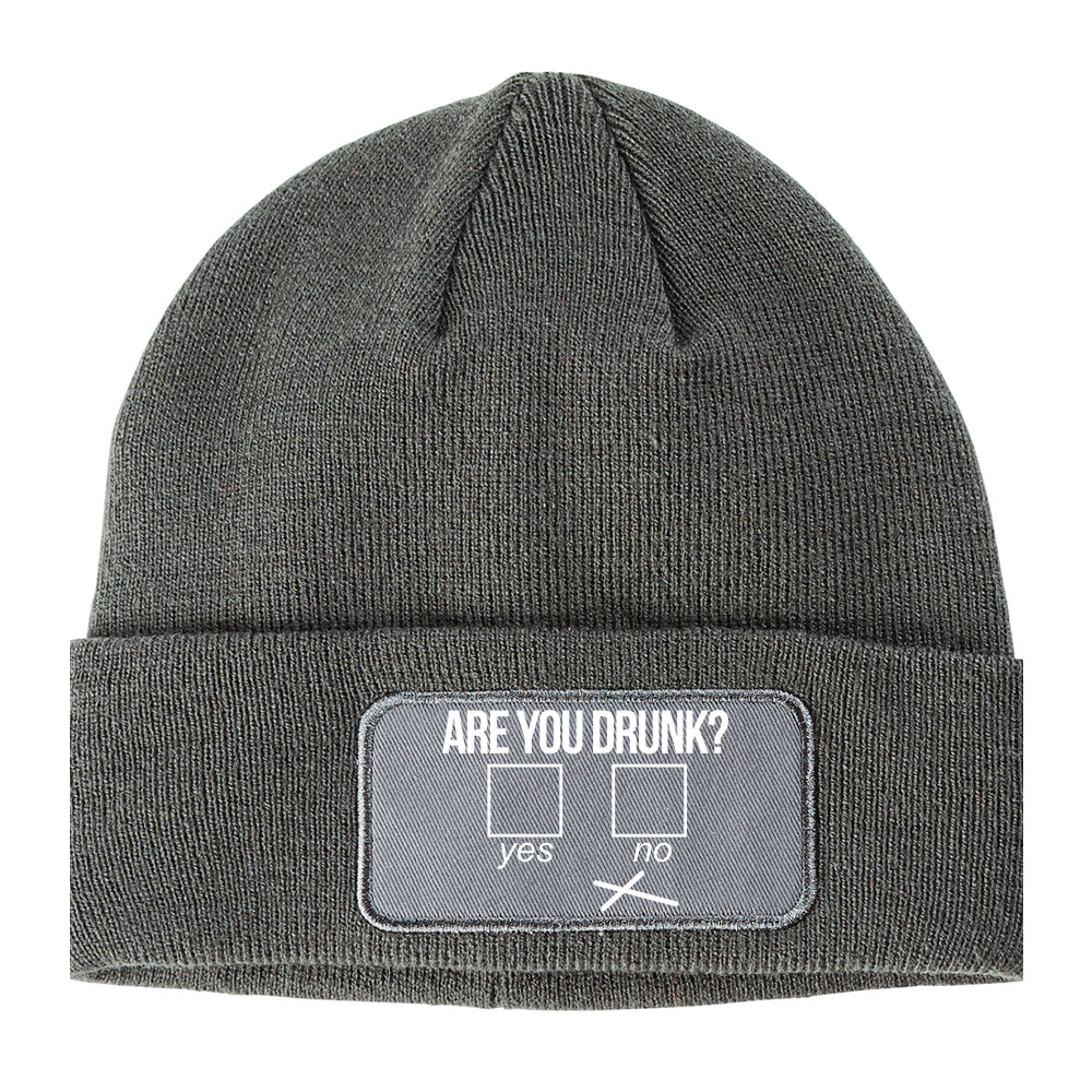 Are You Drunk Funny Beer Drinking Party Winter Knit Adult Beanie Hat Grey