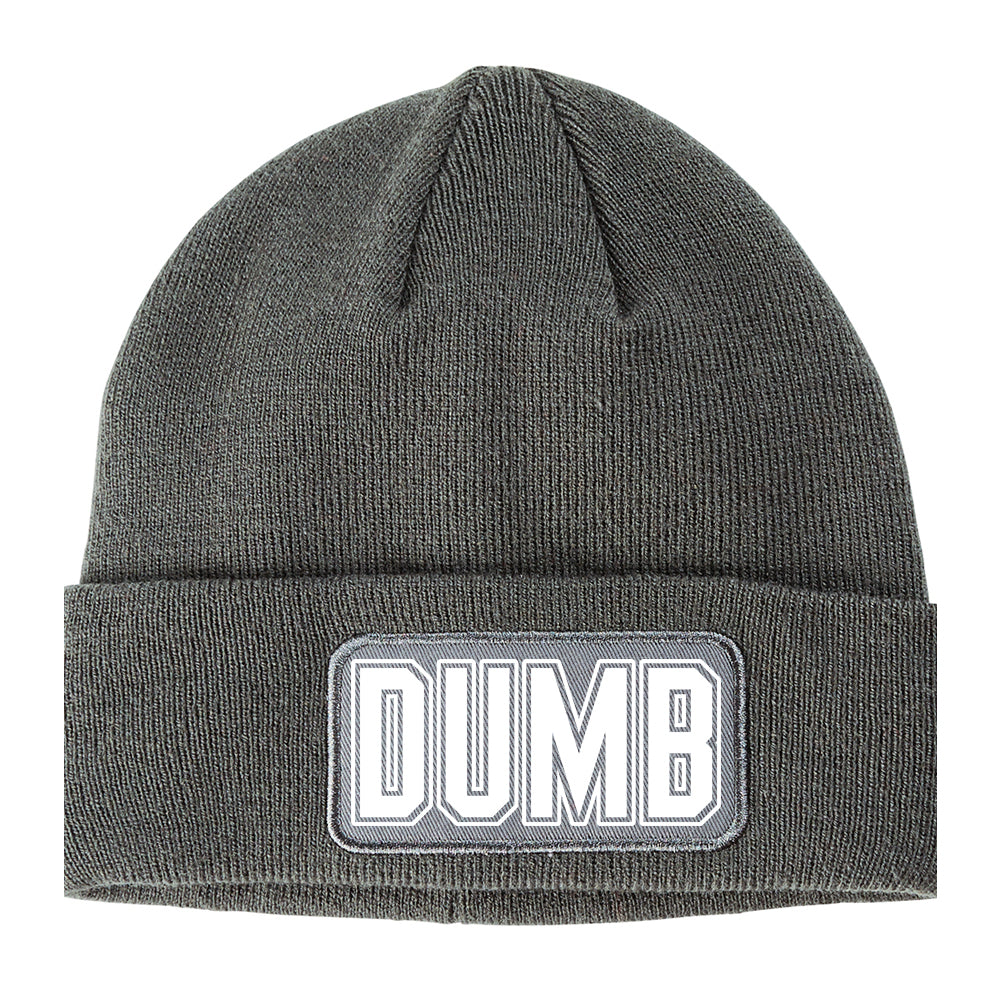 Dumb Funny College Winter Knit Adult Beanie Hat Grey