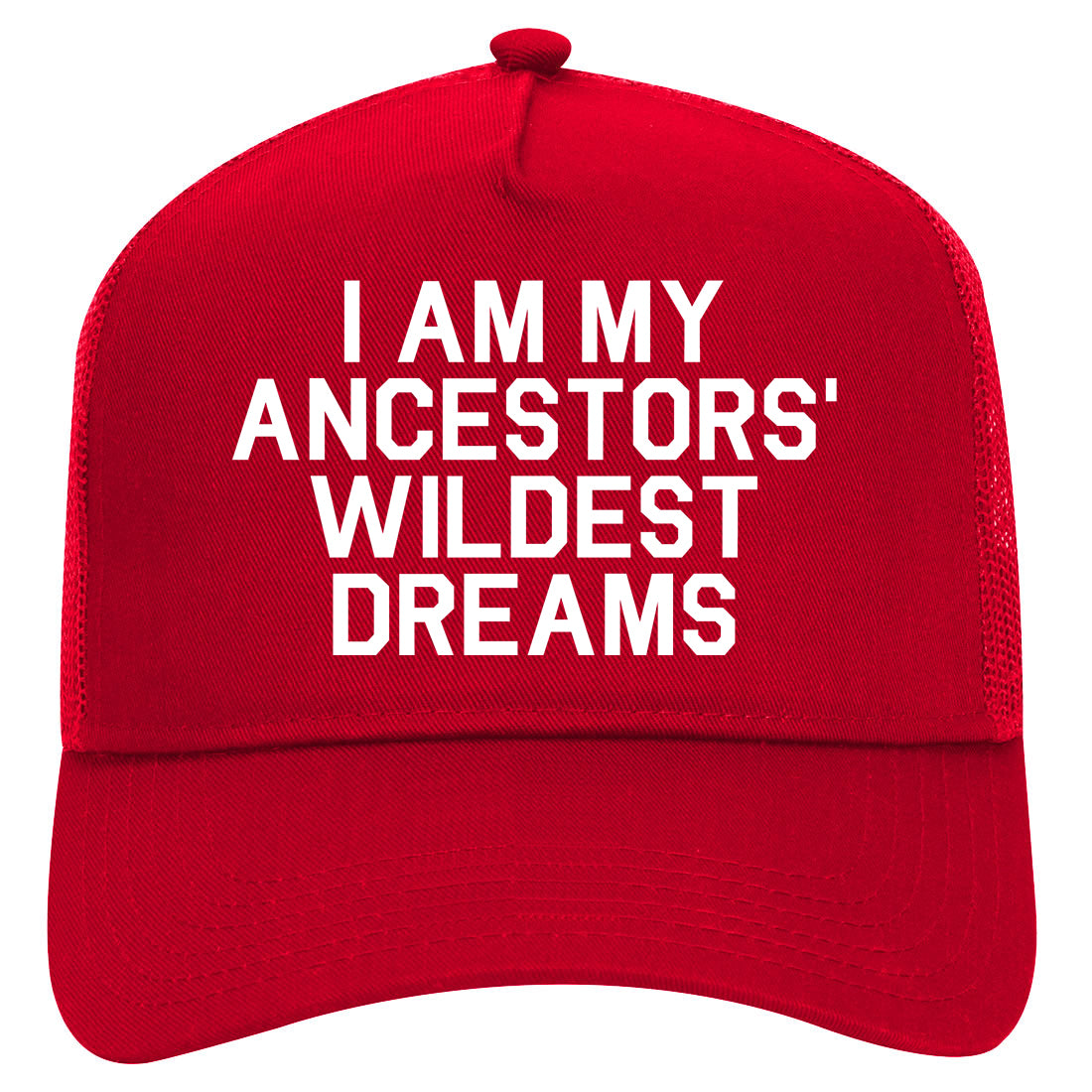 I Am My Ancestors Wildest Dreams Mens Mesh Trucker Hat Red