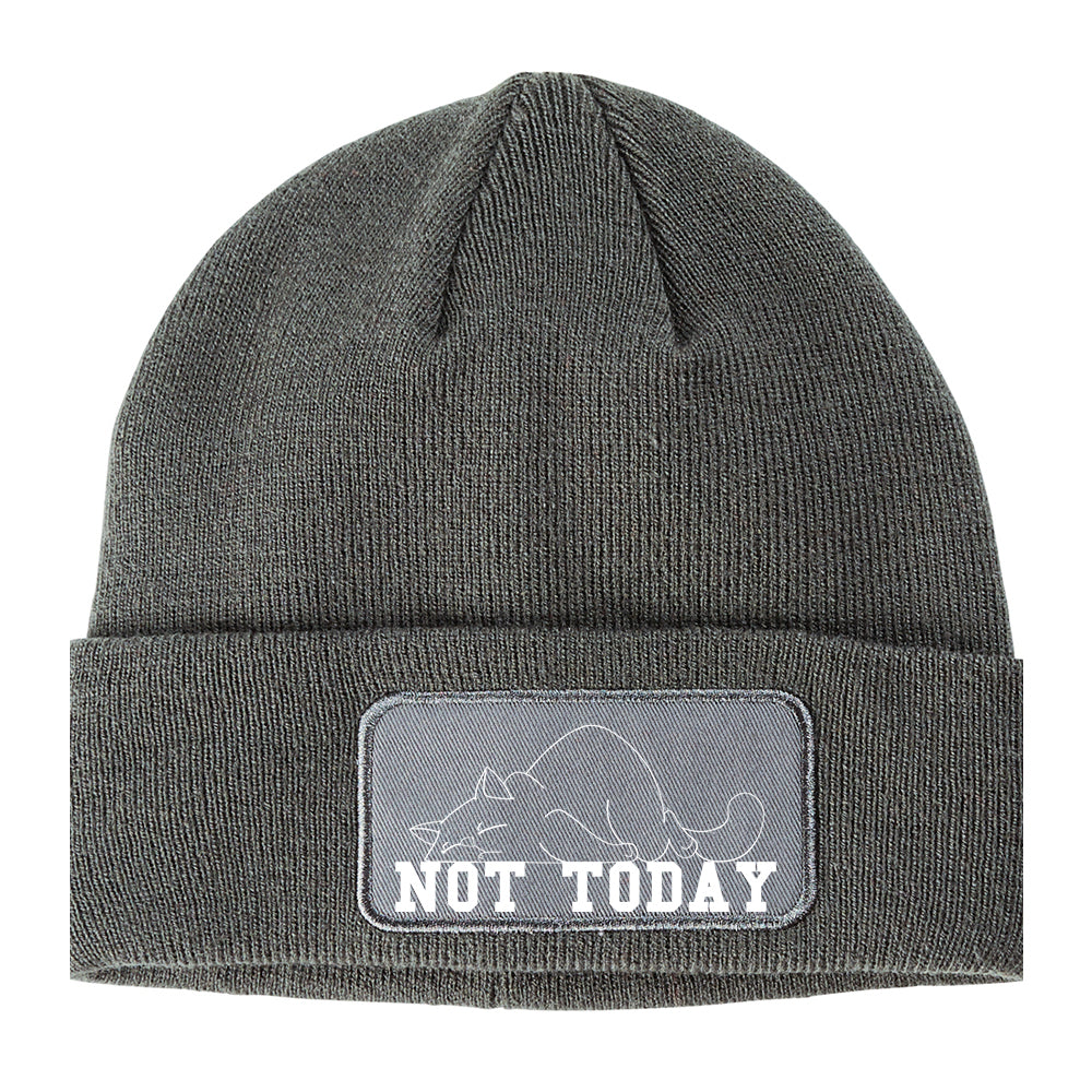 Not Today Sleepy Cat Funny Winter Knit Adult Beanie Hat Grey