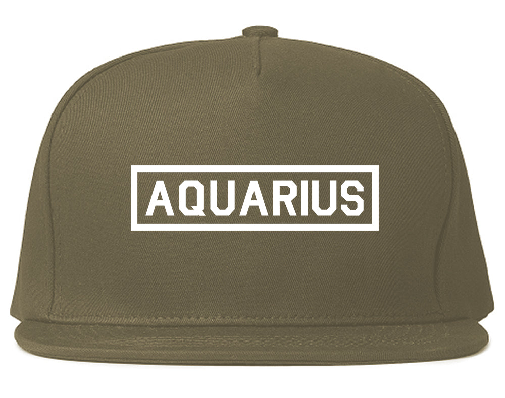 Aquarius_Horoscope_Sign Grey Snapback Hat