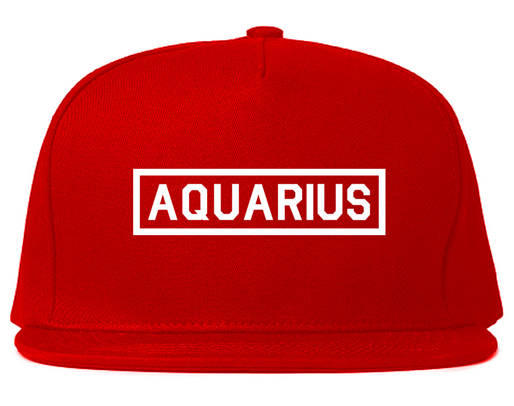 Aquarius_Horoscope_Sign Red Snapback Hat
