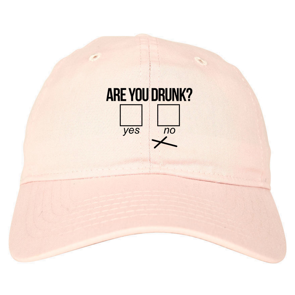 Are You Drunk Funny Beer Drinking Party Mens Dad Hat Pink