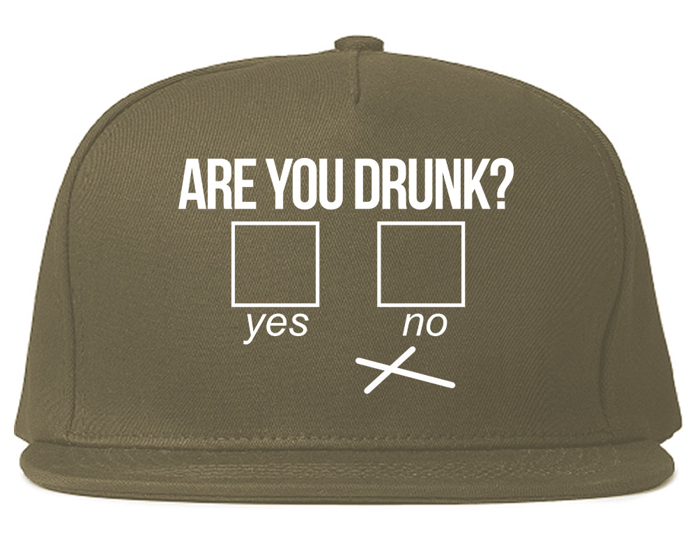 Are You Drunk Funny Beer Drinking Party Mens Snapback Hat Grey