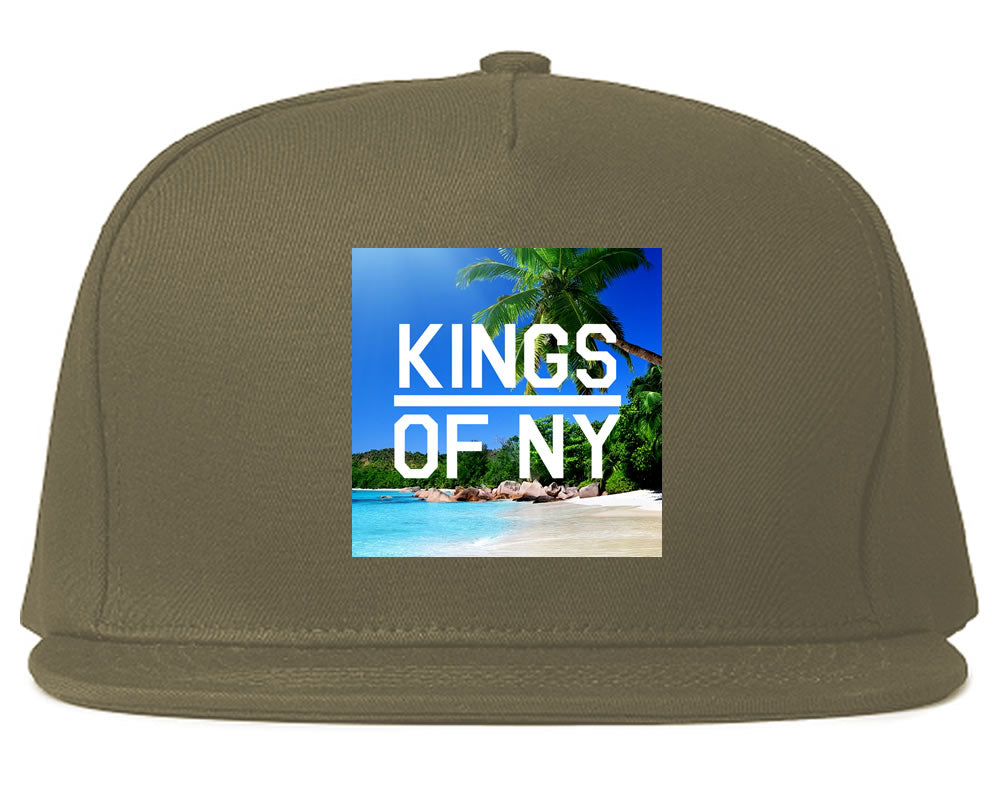 Beach Vacation Box Logo Mens Snapback Hat Grey