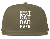 Best_Cat_Dad_Ever Mens Grey Snapback Hat by Kings Of NY
