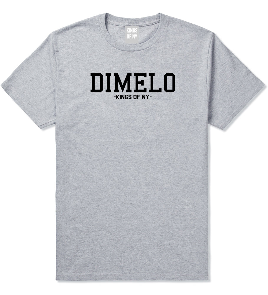 Dimelo Kings Of NY T-Shirt in Grey