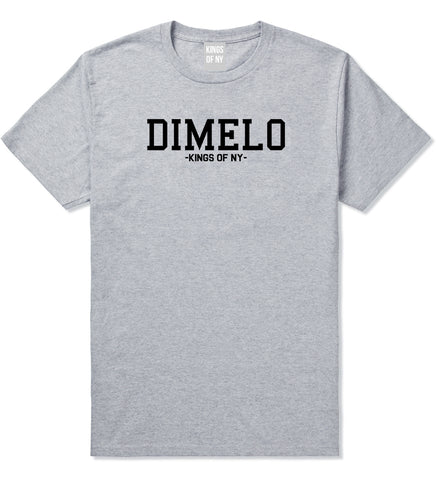 Dimelo Kings Of NY T-Shirt in Grey