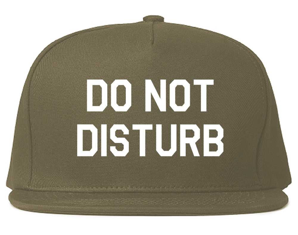 Do_Not_Disturb Mens Grey Snapback Hat by Kings Of NY