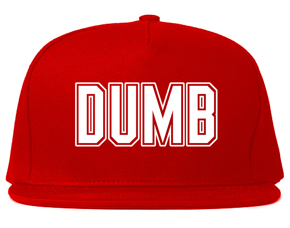 Dumb_Funny_College Mens Red Snapback Hat by Kings Of NY