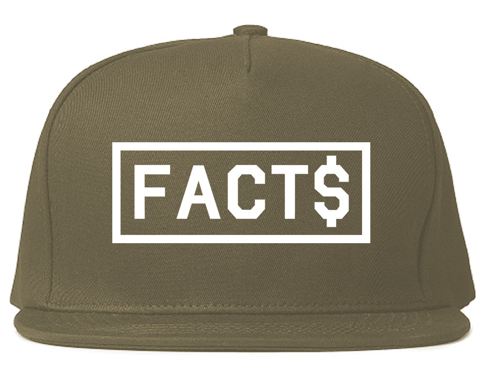 Facts Money Sign Box Mens Snapback Hat Grey