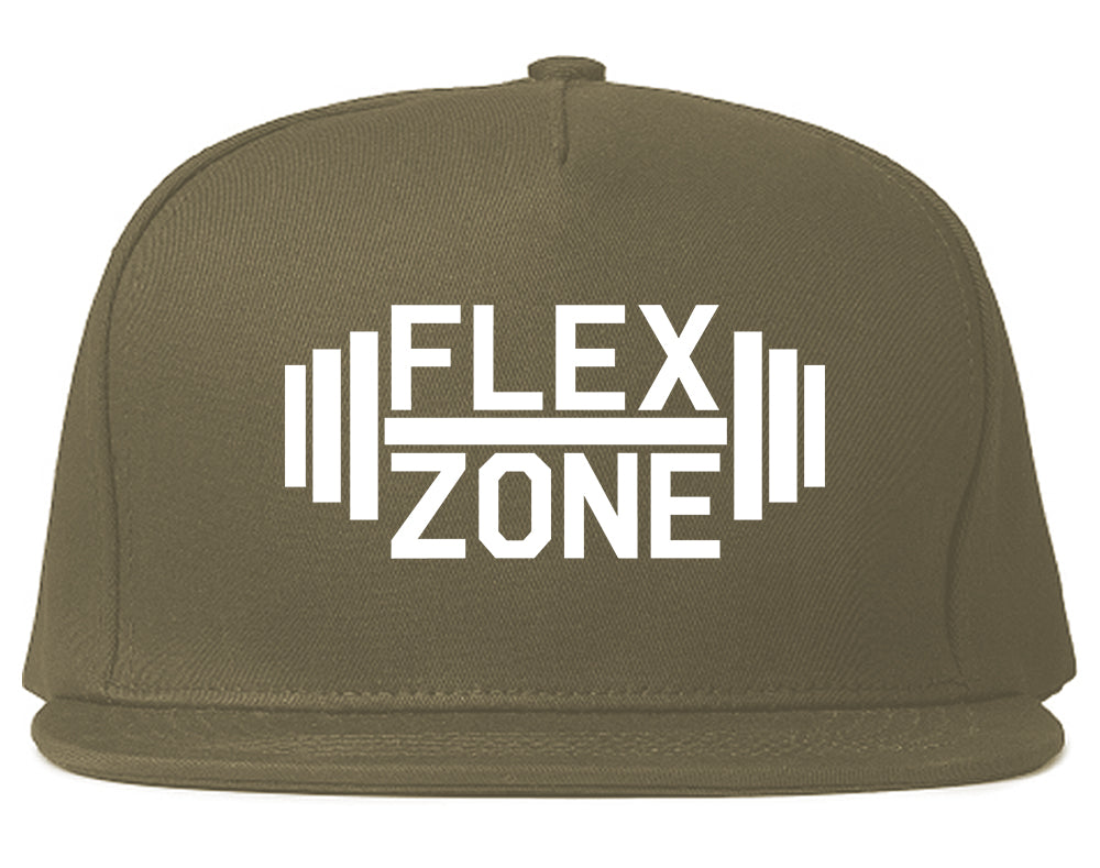 Flex_Zone_Fitness_Gym Grey Snapback Hat