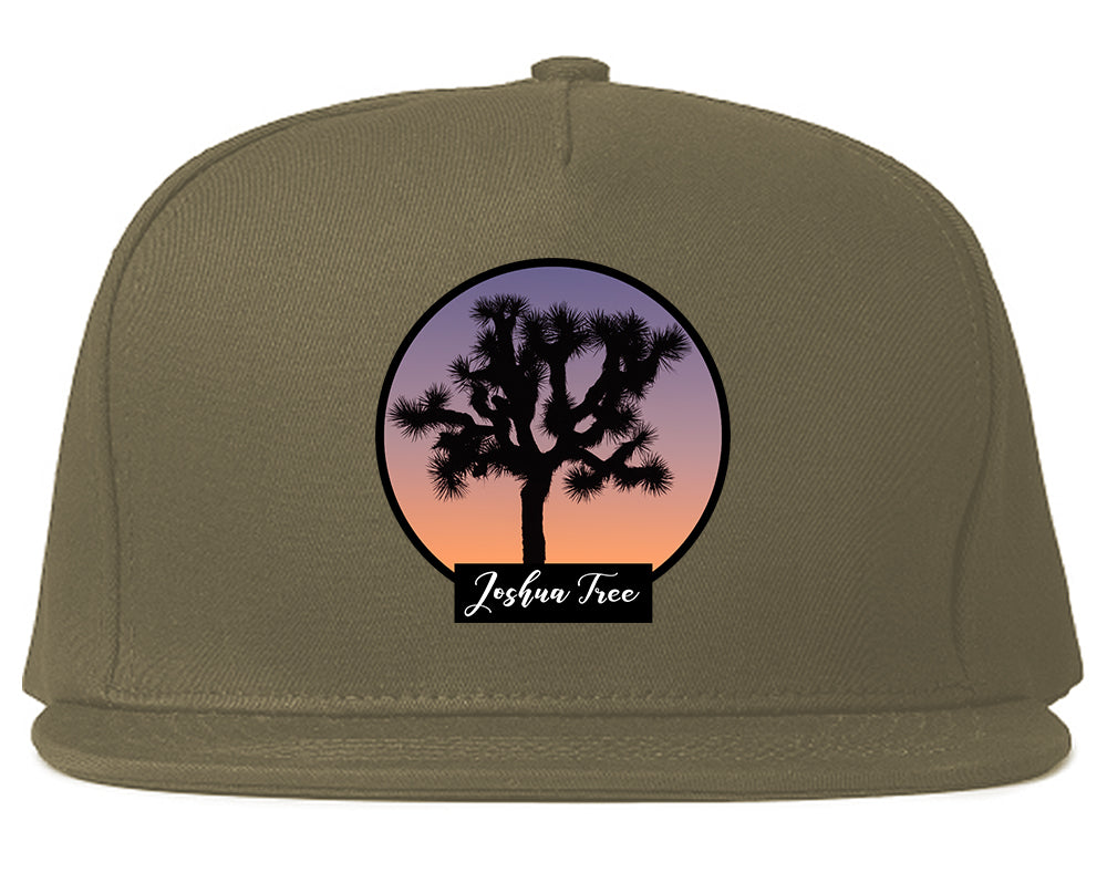 Joshua Tree Mens Snapback Hat Grey