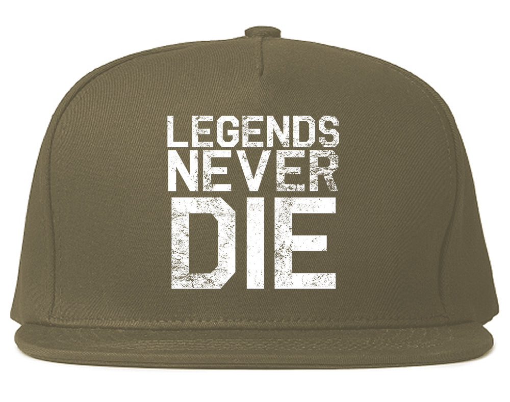 Legends Never Die Vintage Mens Snapback Hat Grey