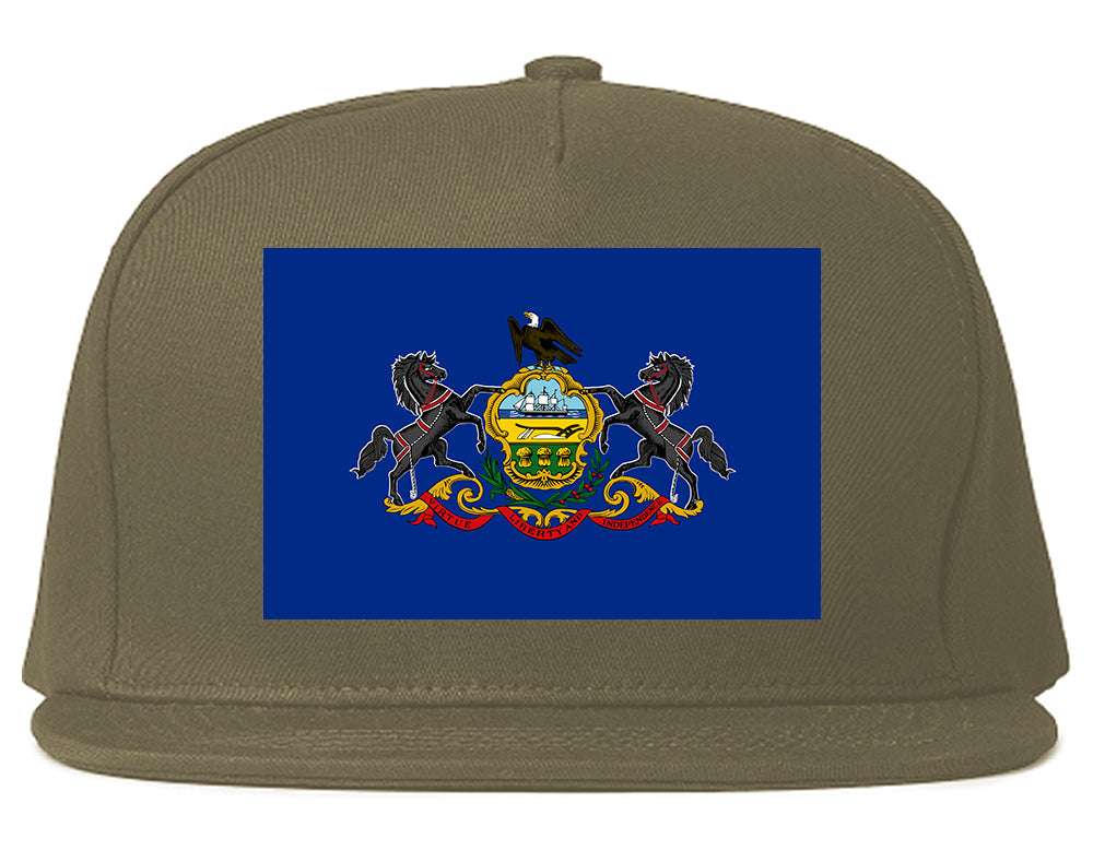 Pennsylvania State Flag PA Chest Mens Snapback Hat Grey