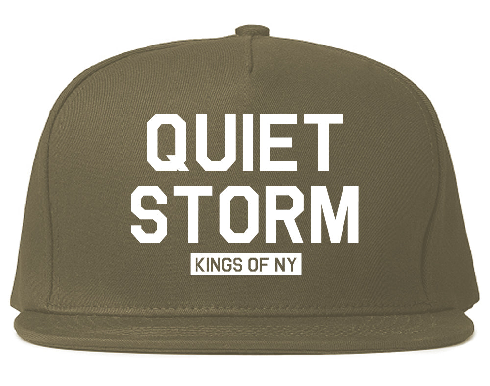 Quiet Storm Kings Of NY Mens Snapback Hat Grey