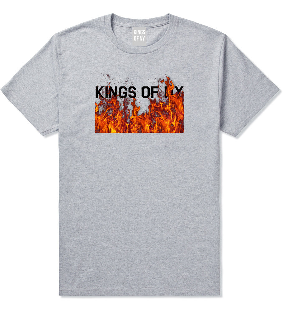 Rising From The Flames T-Shirt in Grey