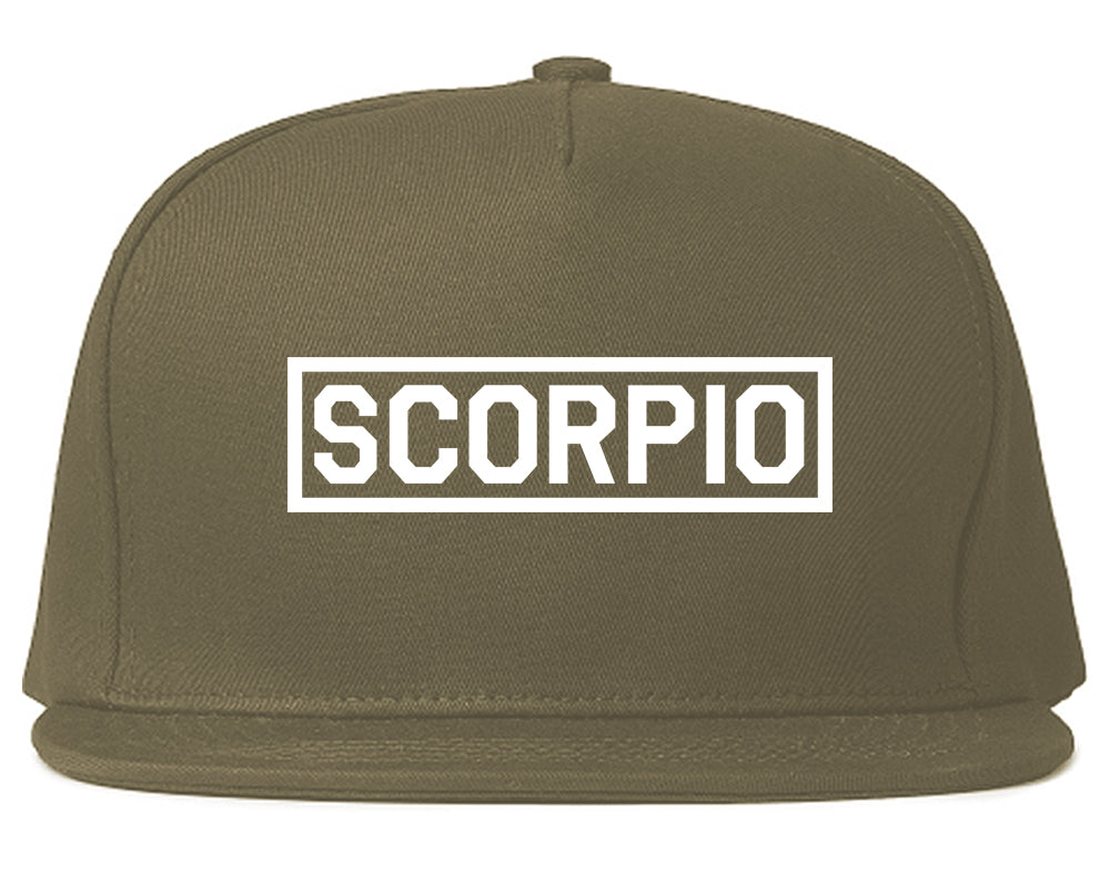 Scorpio_Horoscope_Sign Grey Snapback Hat