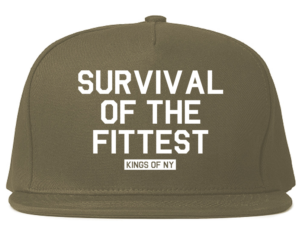 Survival Of The Fittest Mens Snapback Hat Grey