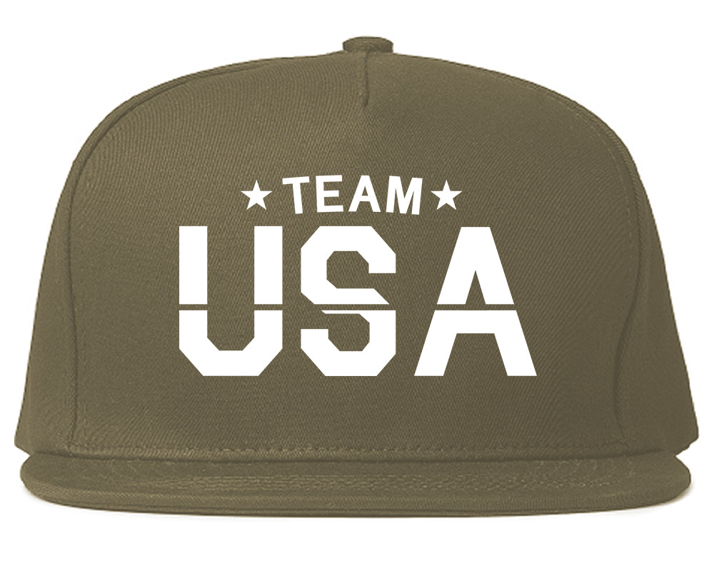 Team USA Mens Snapback Hat Grey