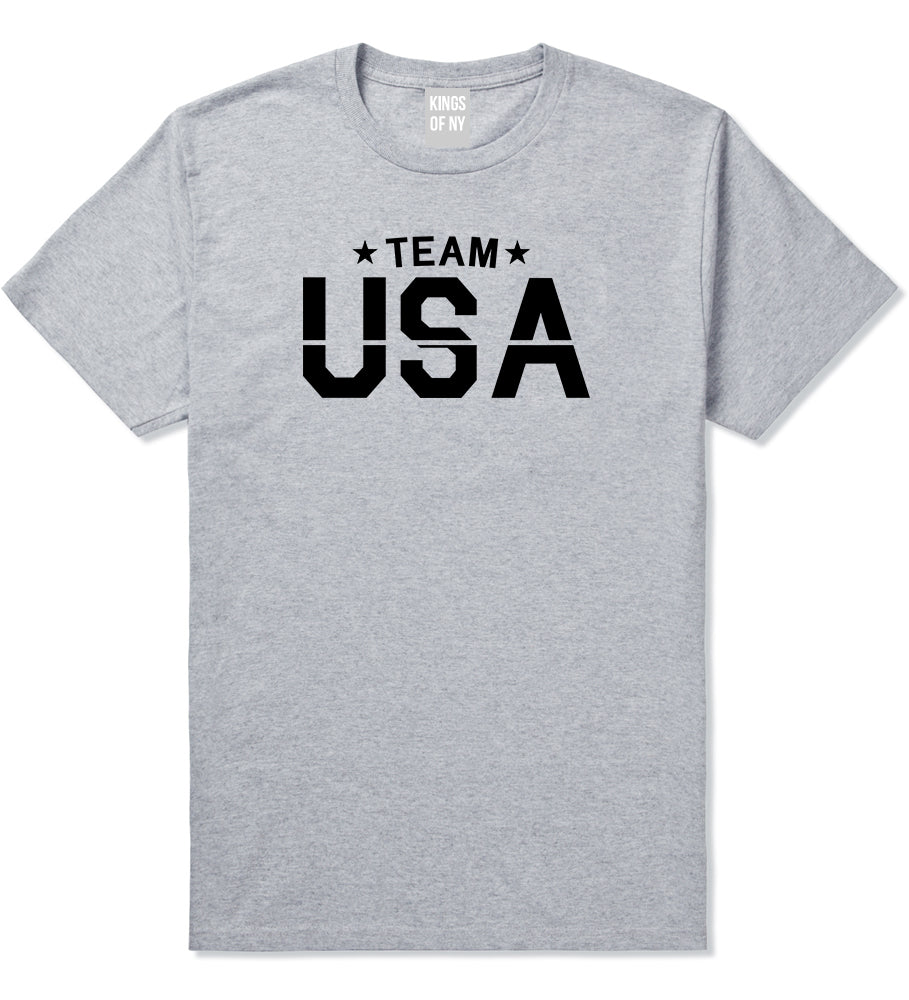 Team USA Mens T-Shirt Grey by Kings Of NY