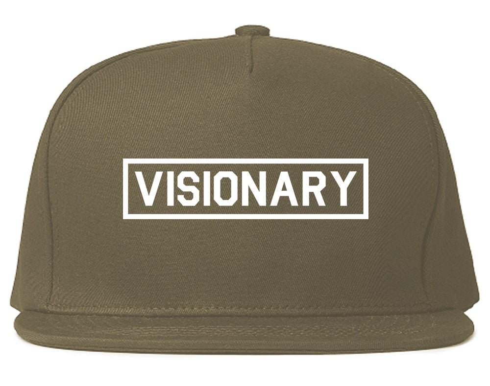 Visionary Box Mens Snapback Hat Grey