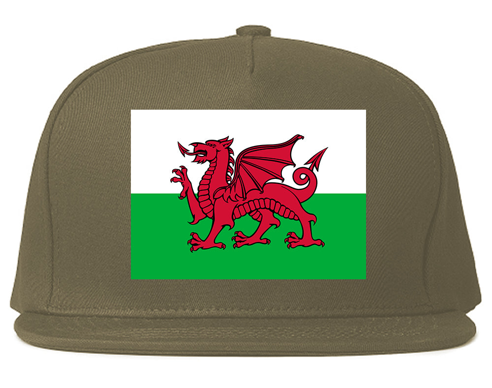 Wales Flag Country Chest Snapback Hat Grey