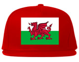 Wales Flag Country Chest Snapback Hat Red