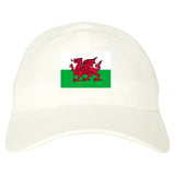 Wales Flag Country Chest Dad Hat Baseball Cap White