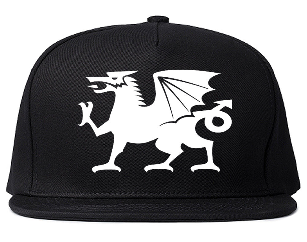 Wales Flag Dragon Symbol Snapback Hat Black