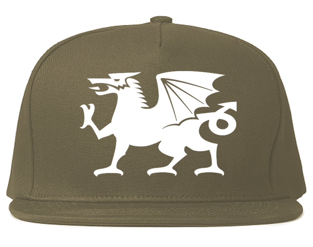 Wales Flag Dragon Symbol Snapback Hat Grey
