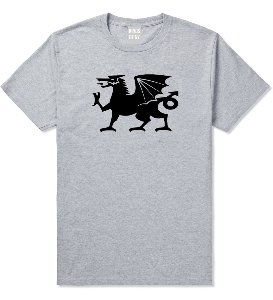 Wales Flag Dragon Symbol Grey T-Shirt by Kings Of NY