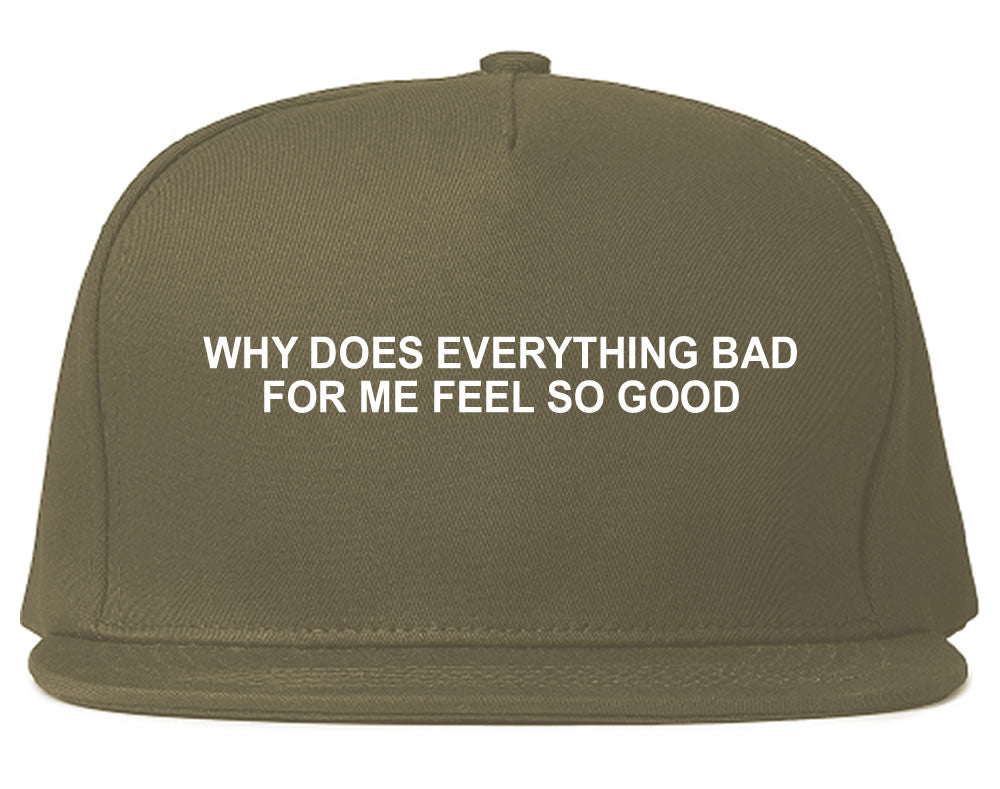 Why Does Everything Bad For Me Feel So Good Mens Snapback Hat Grey