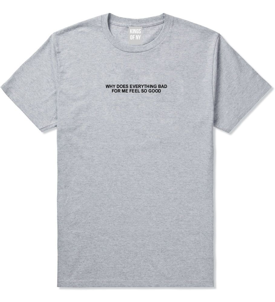 Why Does Everything Bad For Me Feel So Good Mens T-Shirt Grey