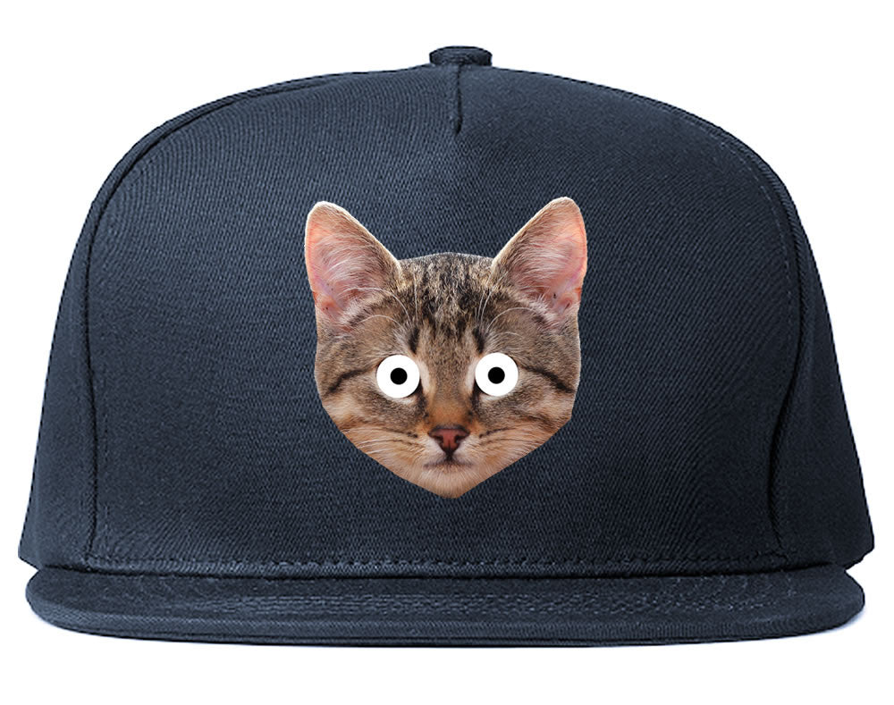 Cats Crazy Kittens Snapback Hat By Kings Of NY
