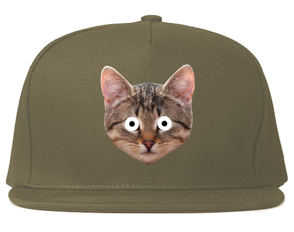 Cats Crazy Kittens Snapback Hat By Kings Of NY