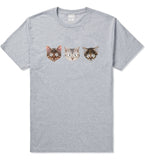 Cats Crazy Kittens Boys Kids T-Shirt in Grey By Kings Of NY