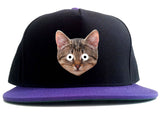 Cats Crazy Kittens 2 Tone Snapback Hat By Kings Of NY