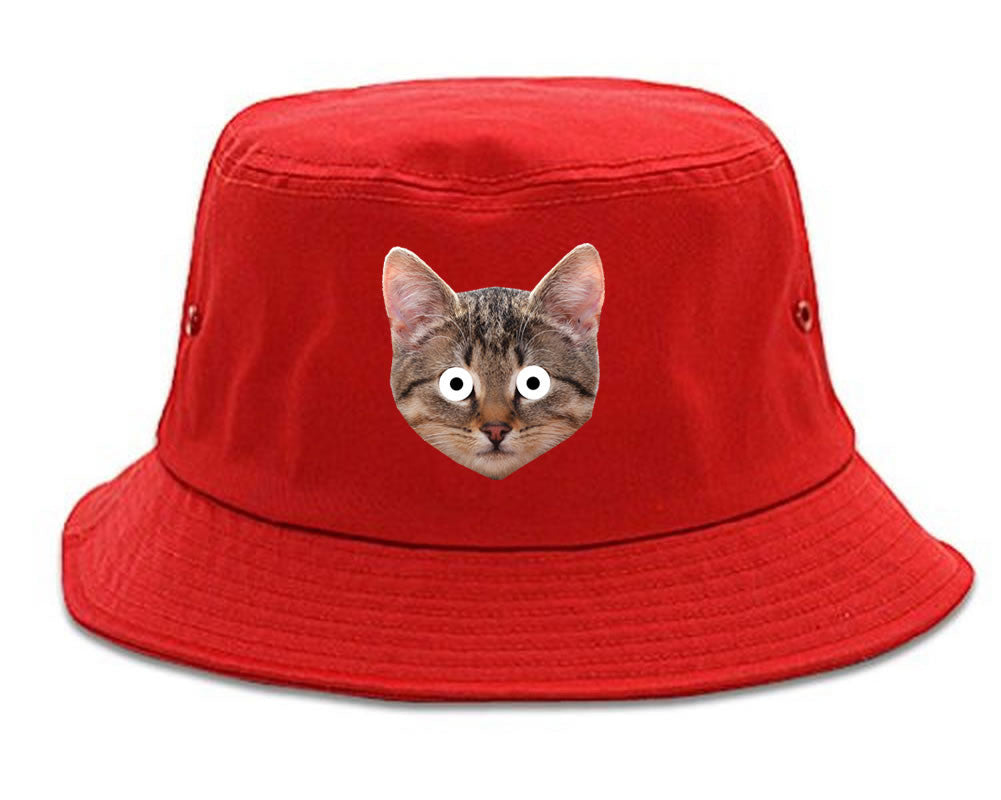 Cats Crazy Kittens Bucket Hat By Kings Of NY
