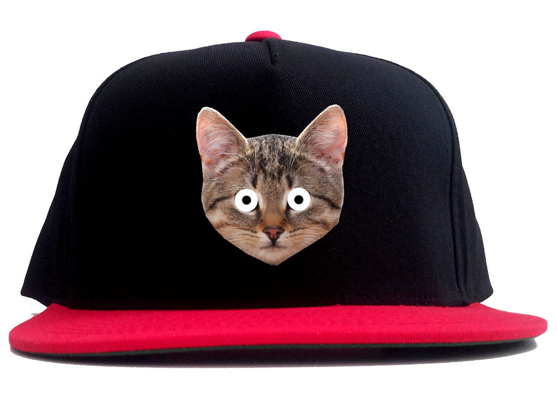 Cats Crazy Kittens 2 Tone Snapback Hat By Kings Of NY