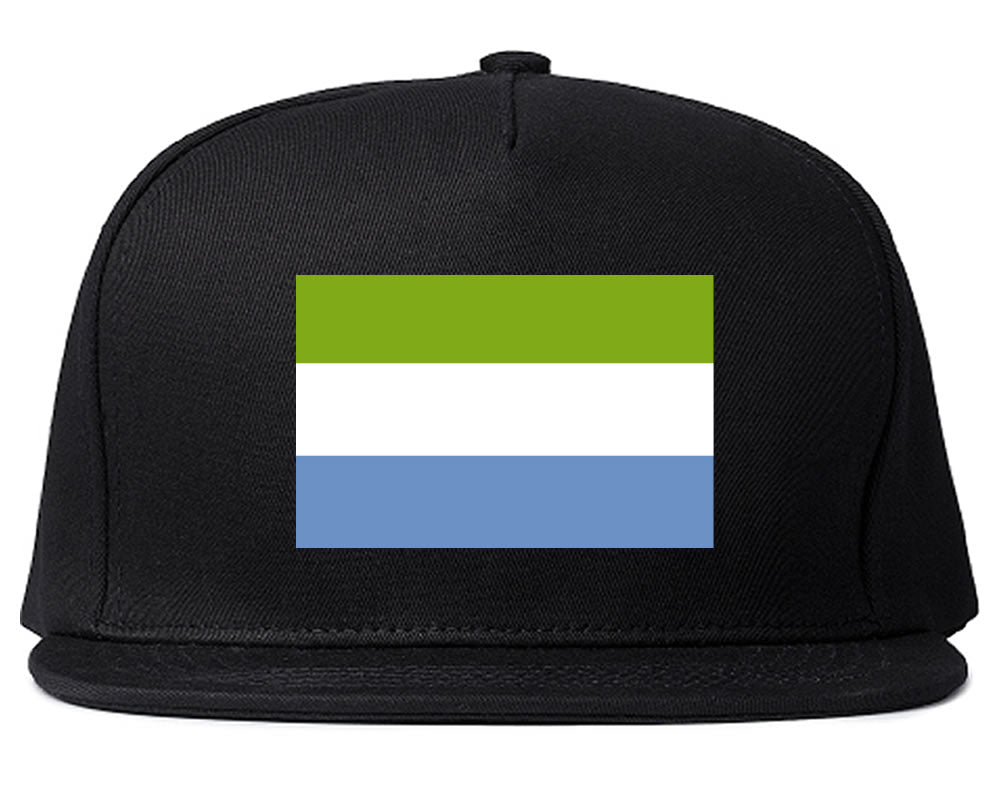 Sierra Leone Flag Country Printed Snapback Hat Cap Black