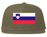 Slovenia Flag Country Printed Snapback Hat Cap Grey