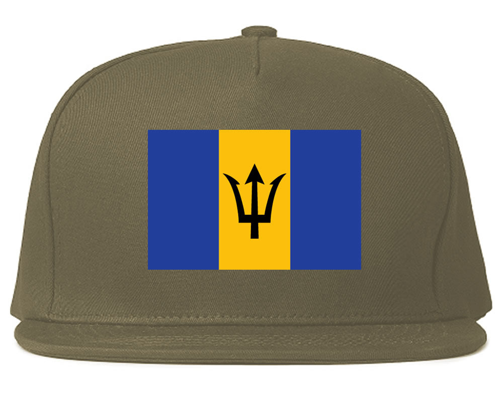 Barbados Flag Country Printed Snapback Hat Cap Grey